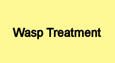 Wasp Treatment