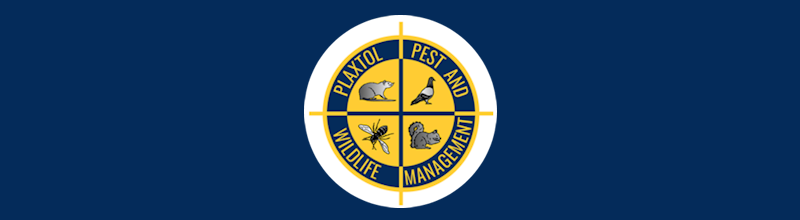 Plaxtol Pest & Wildlife Management